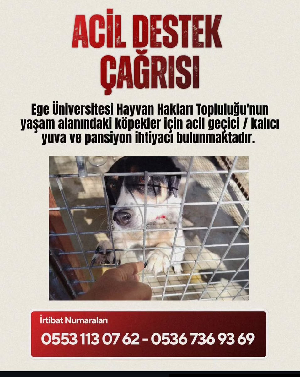 egeogrenciforum's tweet photo. https://t.co/spyMdTx0FE