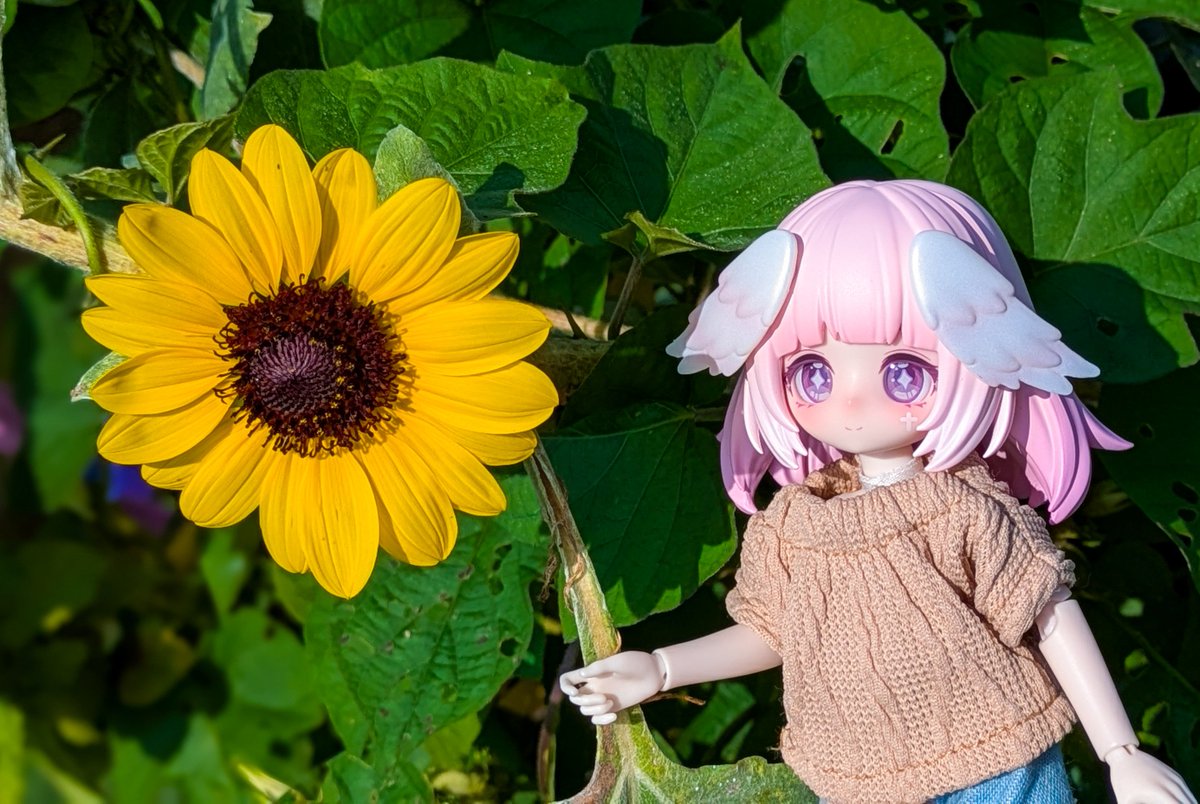 YOKOSHIMARU_'s tweet photo. 向日葵さん見つけた🌻
秋だけどまだ咲いてるんですね
ちっちゃくてかわいい✨
 #光与影  #光翼学院  #うちのこかわいい https://t.co/LYHAsxB24W