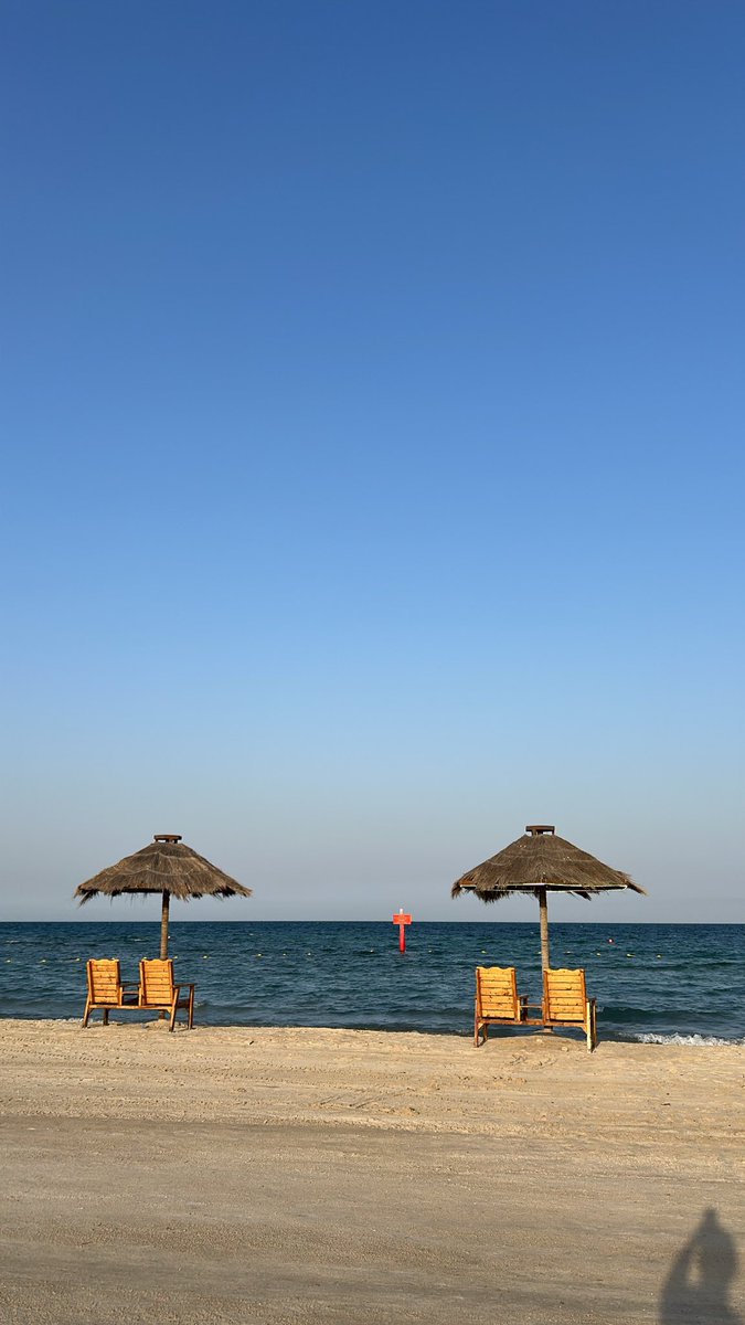 sa7ree tweet picture