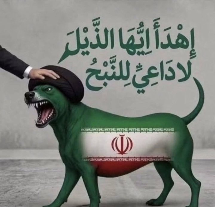 lnjtr_'s tweet photo. @qln8p شفيك زعلانه ؟ اهدي https://t.co/D0XnRVQGoH