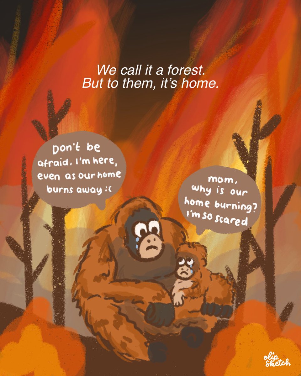 olivssketch's tweet photo. a forest is more than trees. IT’S HOME 

#karhutla 
#prayforkalimantan
#prayforindonesia https://t.co/kelxWNosxB