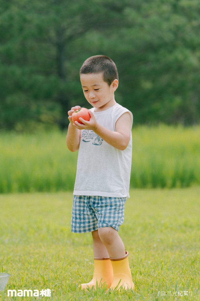 8yfht's tweet photo. [趾とパパと稲の田んぼで、楽しい夏の一日！]， https://t.co/j1AieSGScs