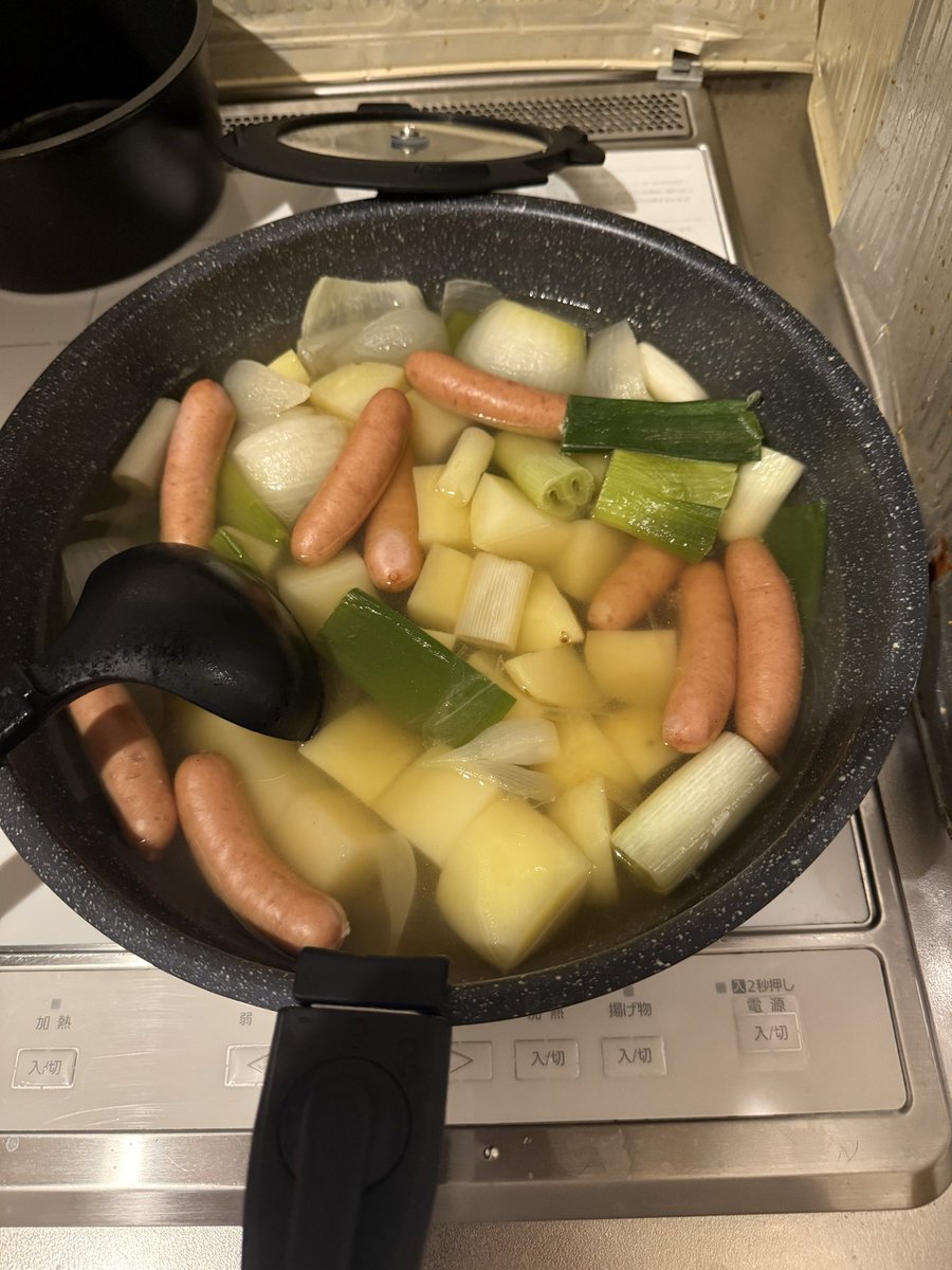 yoshi_yoshiDTM's tweet photo. ポトフに余った白ネギ入れたら普通に美味い https://t.co/wUZTrs7n2x