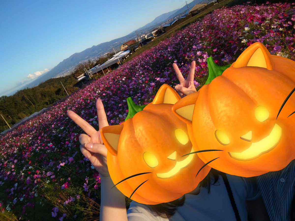 Cool_So_Rock's tweet photo. ひっっさしぶりにちゃこちゃんとデート中😍 https://t.co/eXSEOvGsrd