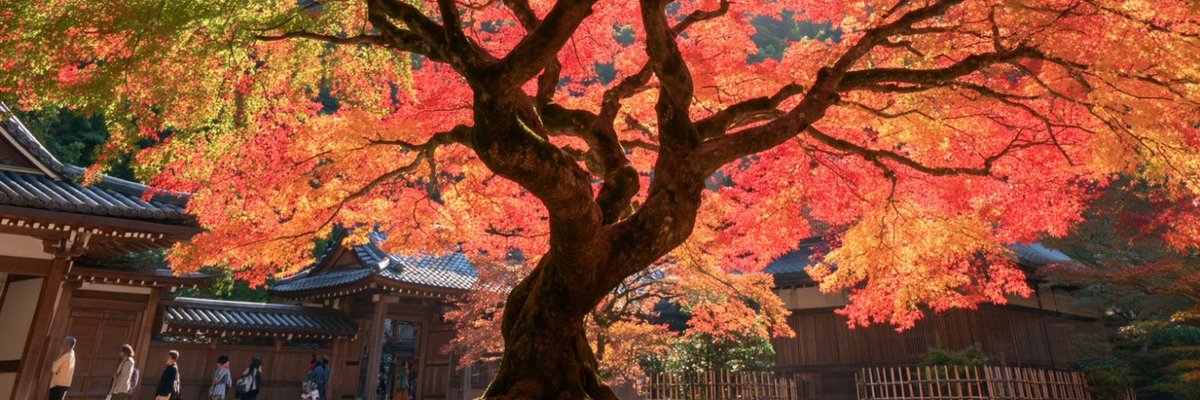 LIGHTCATCHR2400's tweet photo. https://t.co/WQ3ySb9Dfs