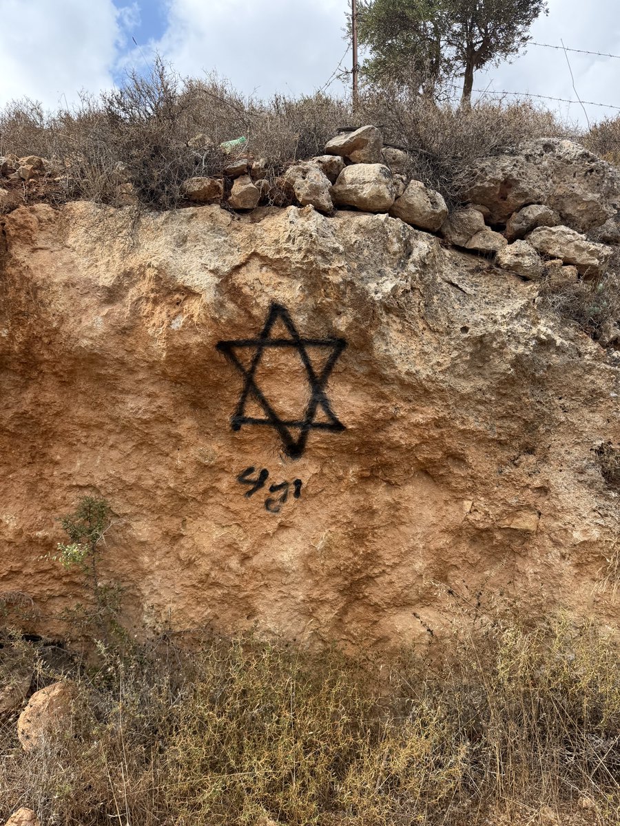 JustHerds's tweet photo. Settlers made their mark on a Palestinian olive grove after stealing its produce.

📍Taybeh, Ramallah 🇵🇸 https://t.co/AAF1bYYNDq