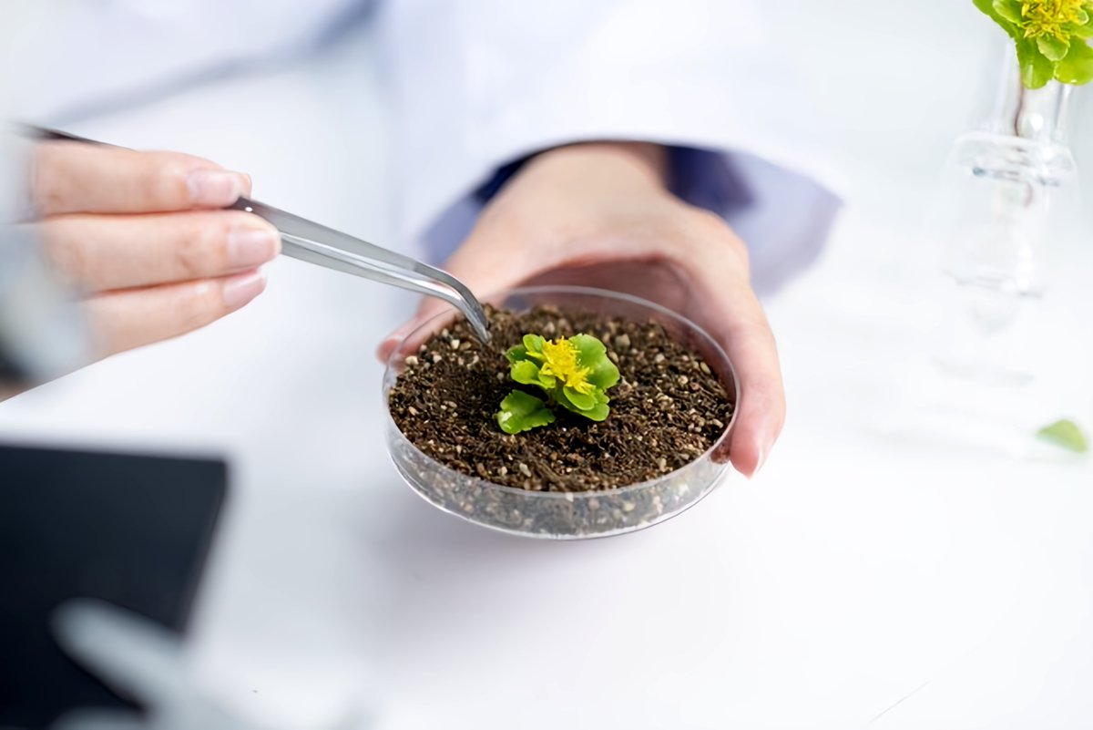 Diamdagat1992's tweet photo. [Check out this special enzyme boost—new study dives into its role in soil moisture u0026 plant growth!] https://t.co/FT2XJr7ED6