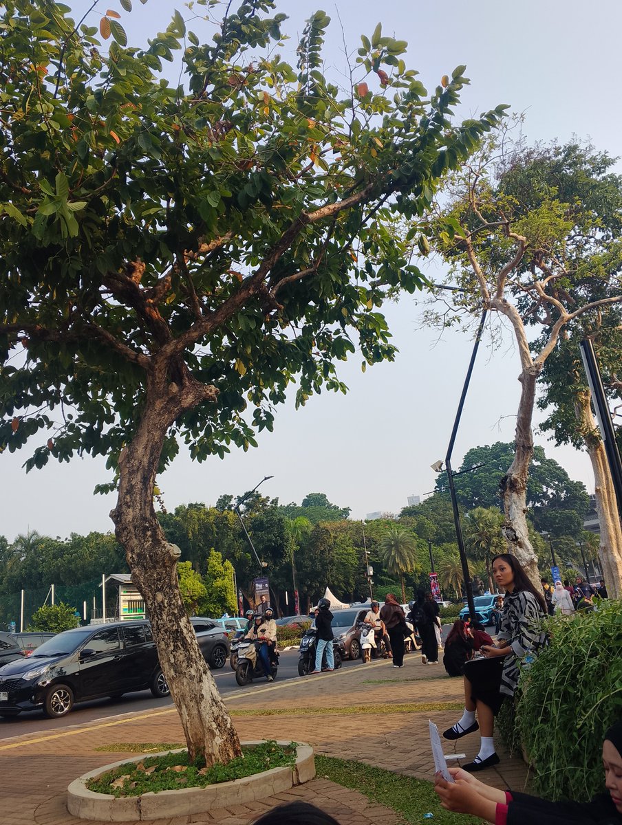 xxiw_oo's tweet photo. Buat yang masih mau, atau mau trade bisa yah kesini https://t.co/3qgRfqi3bh