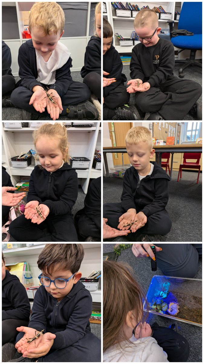 ThorpeBradford's tweet photo. A huge thank you to @ZooLabUK for helping Year 2 bring our Animals and Habitats topic to life in true animal style! 🐍🦎🐢 We met lots of fascinating animals and discovered why their habitats are perfect for them and why they couldn’t survive in others. 🐾🌿 @CATAcademyTrust https://t.co/lQjfxCjy76