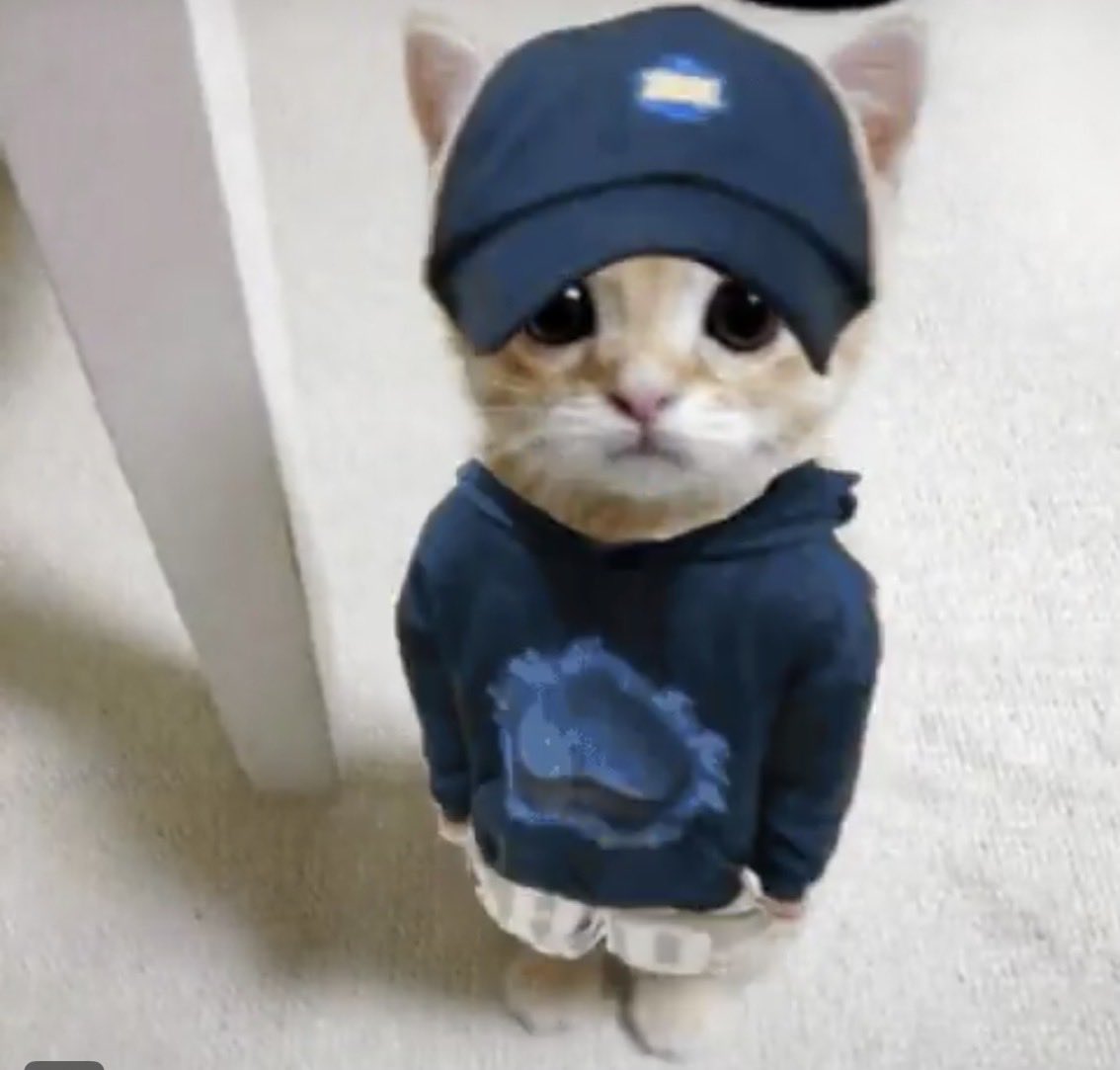 sleezyslimedog's tweet photo. Gato lookin nice here https://t.co/V20nNyvIFw
