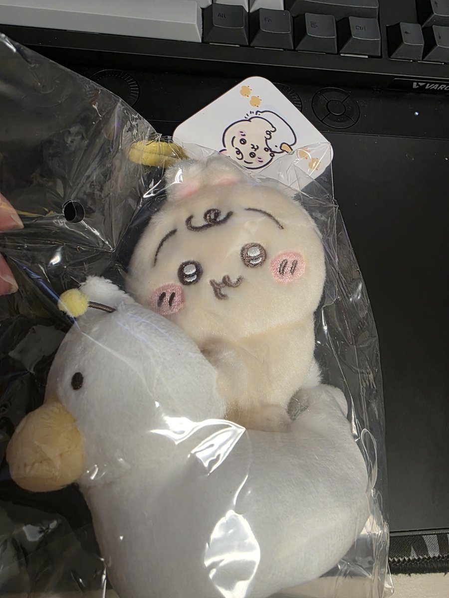 maruunyo's tweet photo. RT💗 + FOLLOW 
개체 정리로 알티이벤트 합니다
알티 추첨 한 분 우사기 변기 마코 보내드려요 https://t.co/xyZ0WT4rZM
