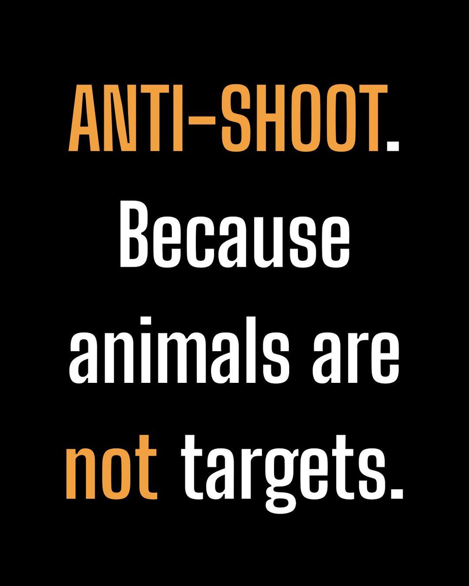 ProtectTheWild_ tweet picture