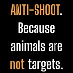 Photo by Protect the Wild (@ProtectTheWild_)