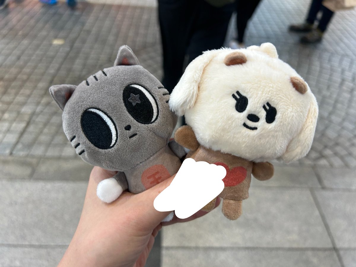 a__gyuu13's tweet photo. バムグッとダゴニャンいらっしゃい〜🐶🧸🐈‍⬛
病み上がり仕事終わってから走って行ってきた https://t.co/s2EVQdb50p