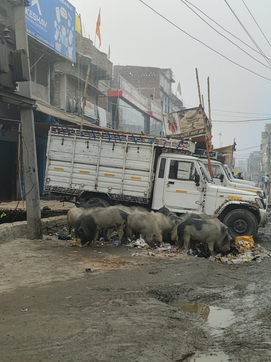 CivicPrideIndia's tweet photo. @Siddharth_00001 But still millions of indians move to these countries tho. India Infra is horrible, let's agree. Even our ministers mla mp kids and families all live abroad and got citizenship. Whilewe live in gutter. He's right https://t.co/Vm2U1Qw3Dr