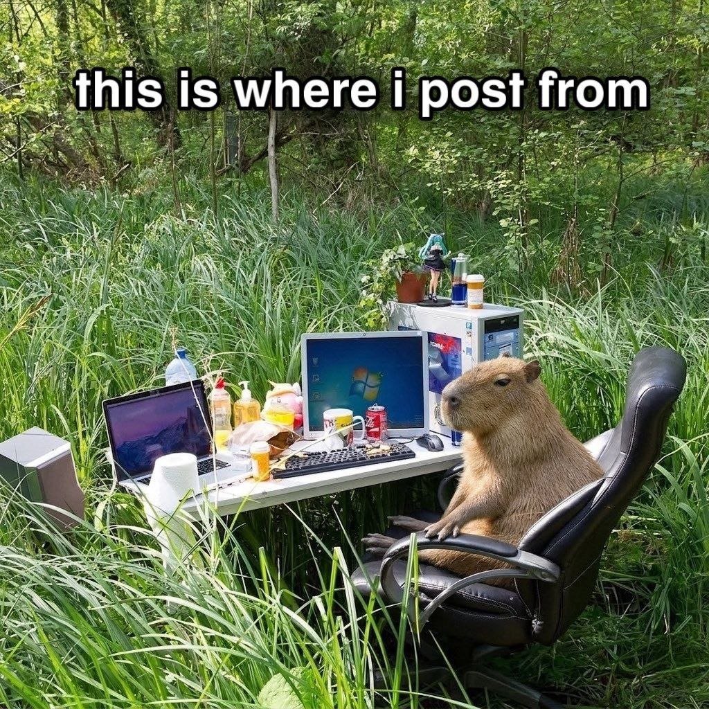 T2ma26's tweet photo. @Darky1k A recognizable name is one thing, a consistent identity is another. The capybara has a character people can identify, a website to explore, and a story that continues to develop. $CAPYBARA 
CA: 8qipLp9tPMkhGaf6qW3BzVzyjba1QztZooCzZAw7pump https://t.co/eApQXcjoXJ