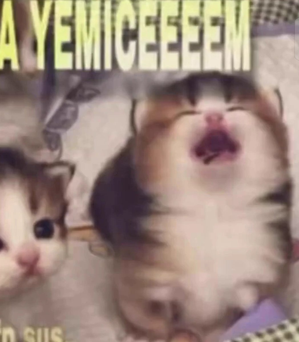 asiperen2's tweet photo. Gerçek olanlar dısında hetero ship https://t.co/O5TfwFSIJg