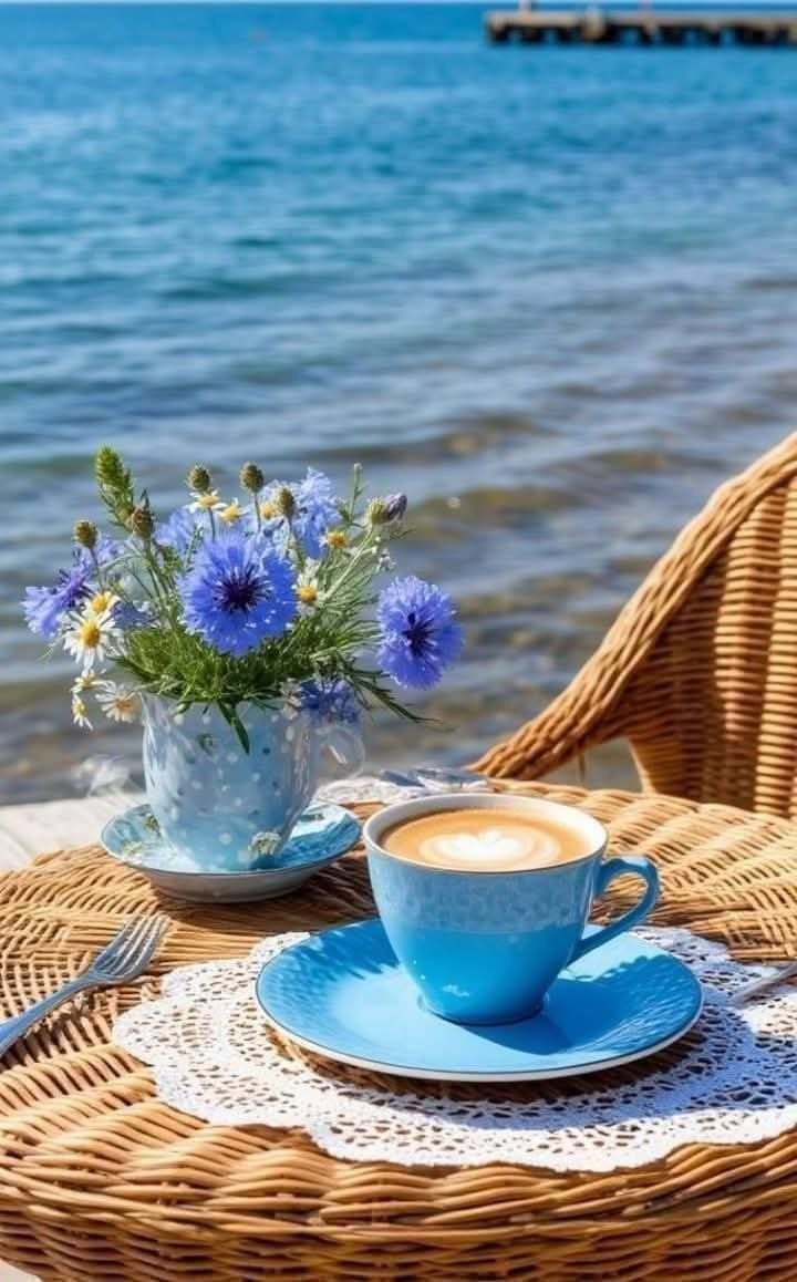 AnsarArooma's tweet photo. Happy and relaxed weekend to all 🌹🌿☀️🌿💖 https://t.co/WoOllPGNym