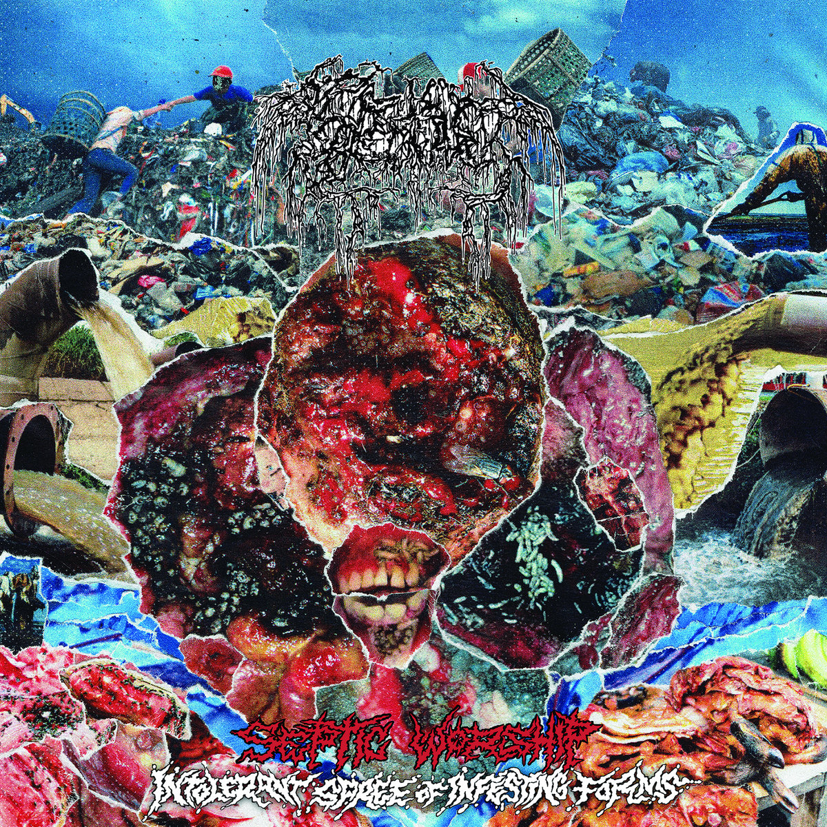 bullbull_ojisan's tweet photo. 🔙 SEPTAGE - Septic Baptism (2024|Goregrind from Denmark incl. members of Hyperdontia/Diabolizer/Fosse Septique)
https://t.co/DpfF4dEhxB
#Goregrind #DeathMetal https://t.co/Ut6il9XDKV