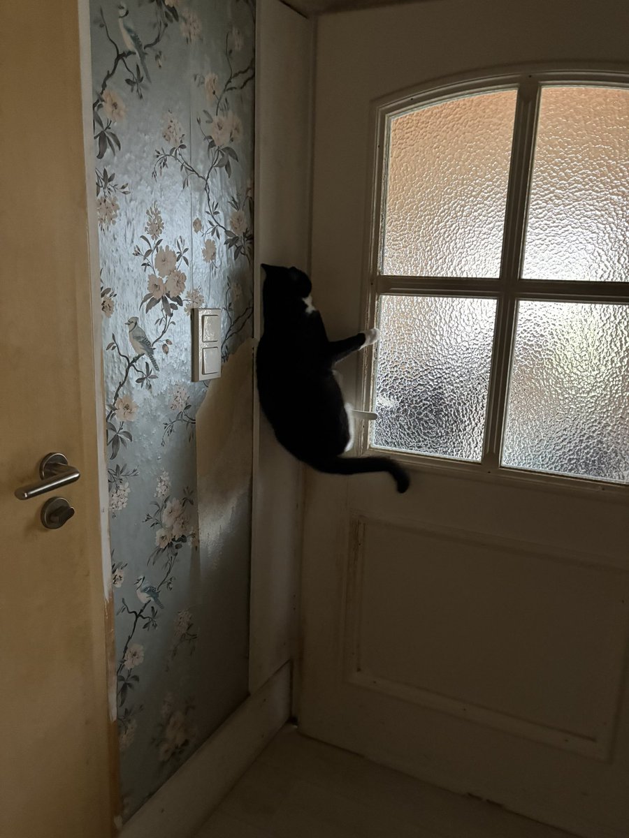 ruanmeoww's tweet photo. so i found out who has been opening our door.. https://t.co/9dzyzq7dfS