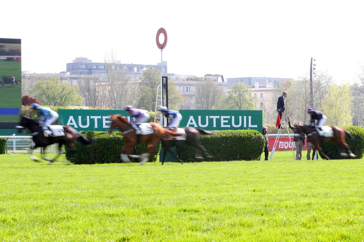 francegalop's tweet photo. 𝐓𝐄𝐑𝐑𝐀𝐈𝐍 
📆 Samedi 17 octobre 2026 
📍 Hippodrome d’#Auteuil 
8⃣ courses 
🌱 4.0 (très souple)
🚧 Lice à 0m 
☁️ Nuageux 
🌬️ Vent du nord https://t.co/yBgMmd2c8W