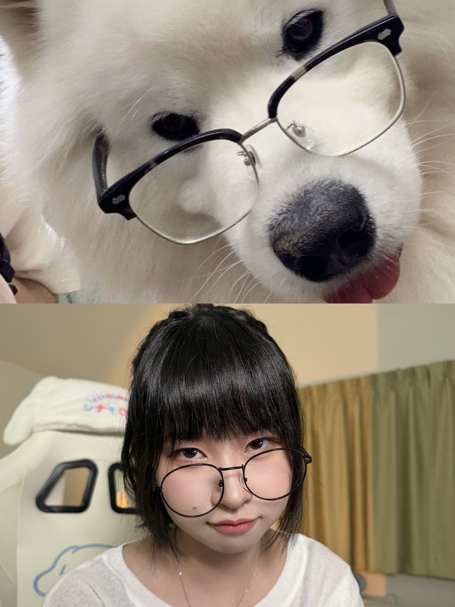 _pearmode's tweet photo. บ๊อก บ๊อก 🐶
#มีม https://t.co/RL1XHOK8V3