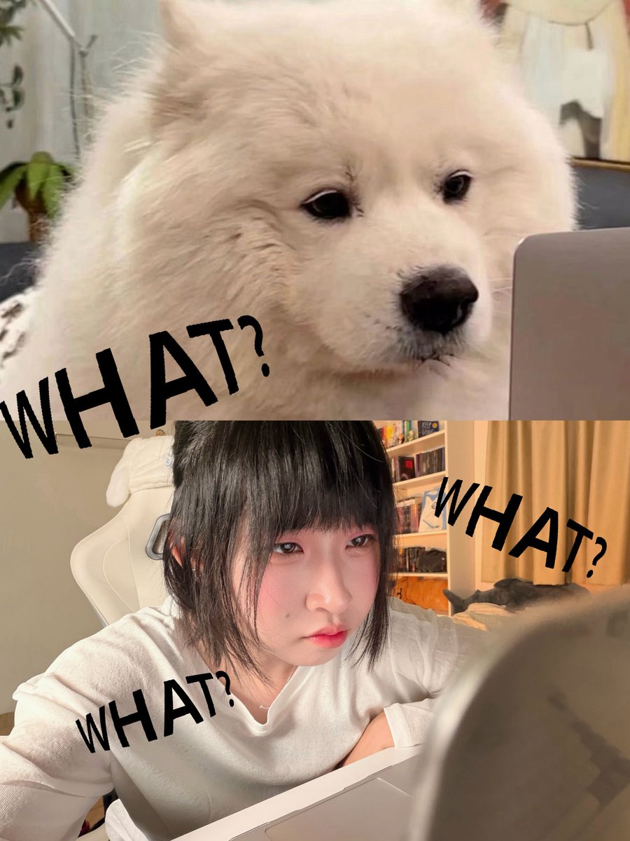 _pearmode's tweet photo. บ๊อก บ๊อก 🐶
#มีม https://t.co/RL1XHOK8V3