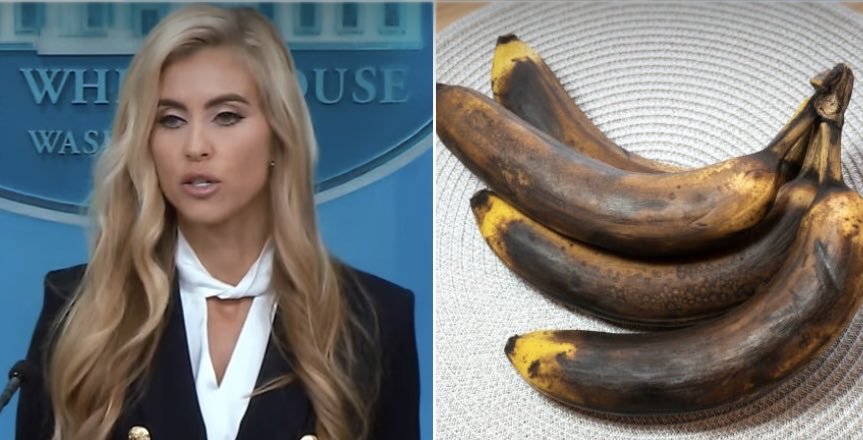 ctpolitical2021's tweet photo. @w_terrence She held her job less than bananas take to ripen 🤣 https://t.co/SJHOGE0c15