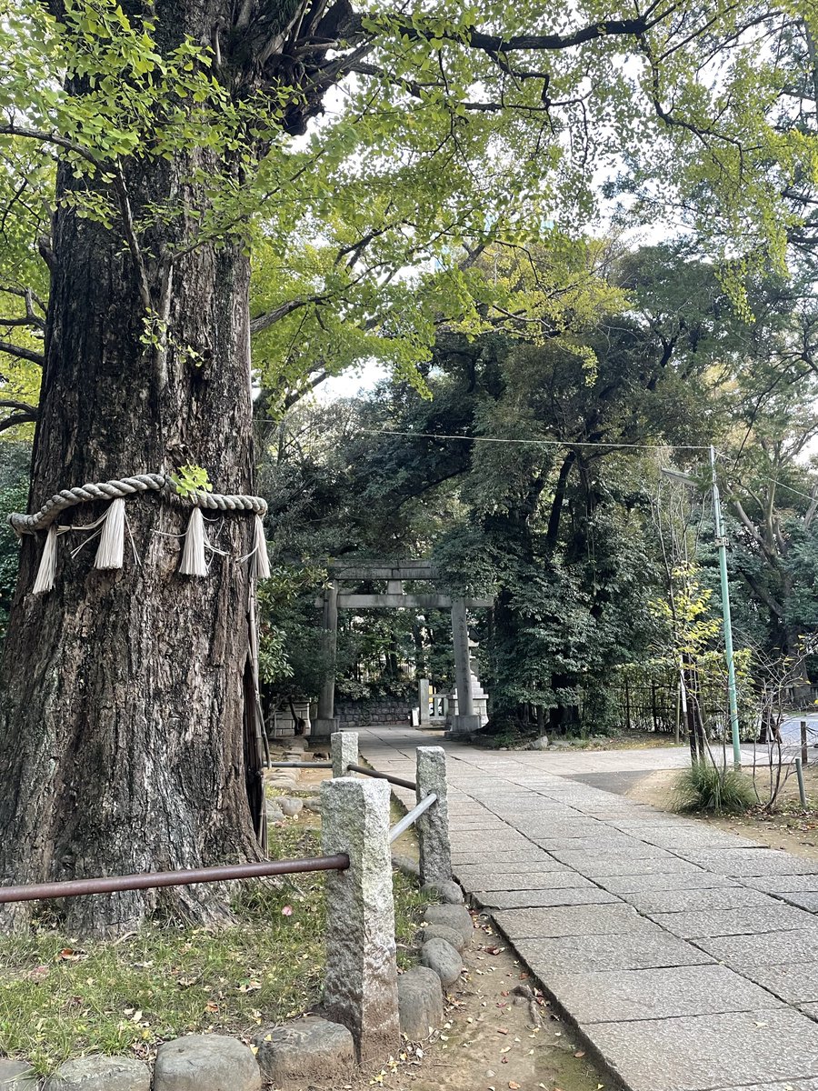 akane_open's tweet photo. 神社とGRも。 https://t.co/qPw4FW7kSe