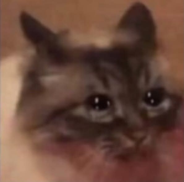 gxthicfangs's tweet photo. https://t.co/BzI5oQon6R
New pinned guys ,,, https://t.co/hJqNKBY5FQ