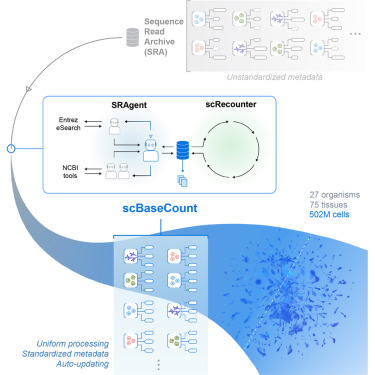 BioAI_NeuralNet tweet picture