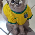 Photo by jota lula da silva ⭐️🇧🇷 (@juaozinp)