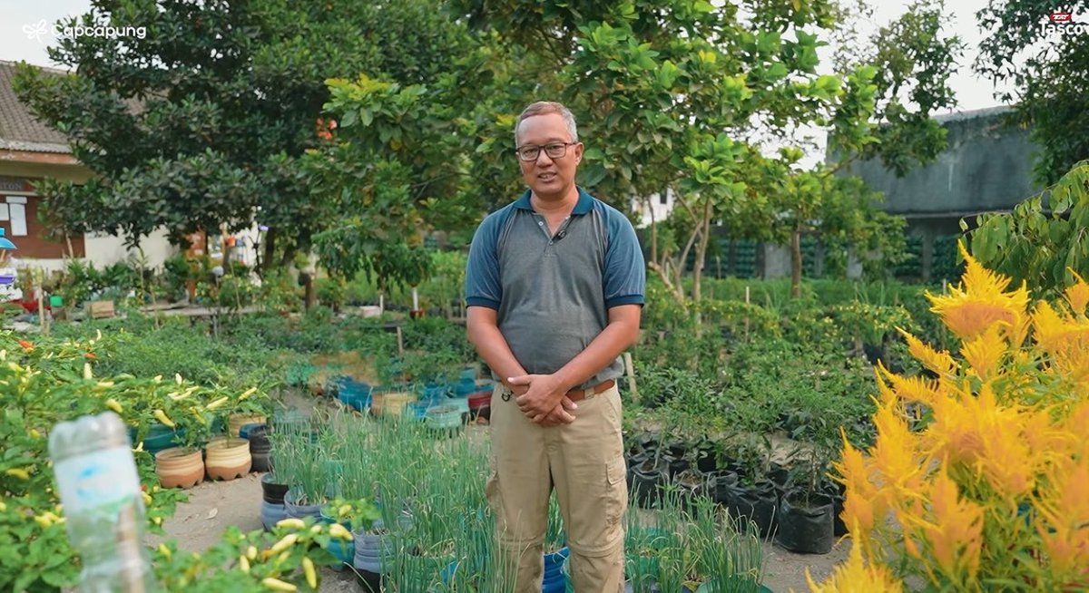 khanifirsyad's tweet photo. Cerita warga kampung Wirobrajan di Jogja ini yang bikin lahan sepetak di tengah kota berubah total.

Dulu lahan itu cuma semak belukar, tanahnya nggak subur, nganggur, dan nggak ada yang manfaatin. terus warga yang tergabung di kelompok tani swa katon asri mulai gotong royong. 

Mereka nanam padi pakai galon bekas. Selain itu, ada sayuran: sawi, selada, cabai, terong, tomat, kacang panjang, sampai tanaman buah dan toga. Media tanamnya wall planter di tembok, polybag, dan galon daur ulang biar nutrisi dan kelembaban tetap terjaga.

Nggak cuma tanam, mereka juga budidaya ikan lele di dalam drum. Jadi satu tempat bisa hasilkan karbohidrat dari padi, sayur-sayuran, dan protein dari lele. Semuanya dari lahan yang tadinya nggak terpakai di tengah pemukiman padat.

Hasilnya langsung kerasa. Panen rutin, warga sekitar bisa beli sayur dengan harga di bawah pasar. Bahkan jadi tempat edukasi buat anak-anak paud, ibu-ibu pkk, dan pengunjung yang mau belajar urban farming.

Dari semak belukar jadi kebun yang produktif.