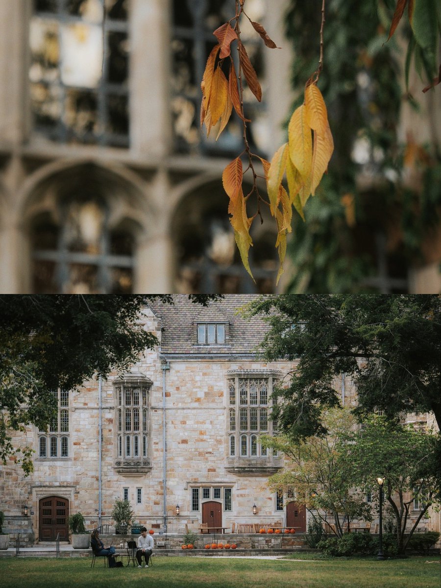 Yale's tweet photo. A little more fall with each passing day. 🍁

📷: Gavin Susantio https://t.co/VxxO8uWefi