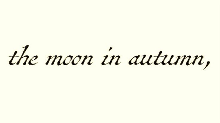 seainpoem's tweet photo. https://t.co/6lm8KYVQBa