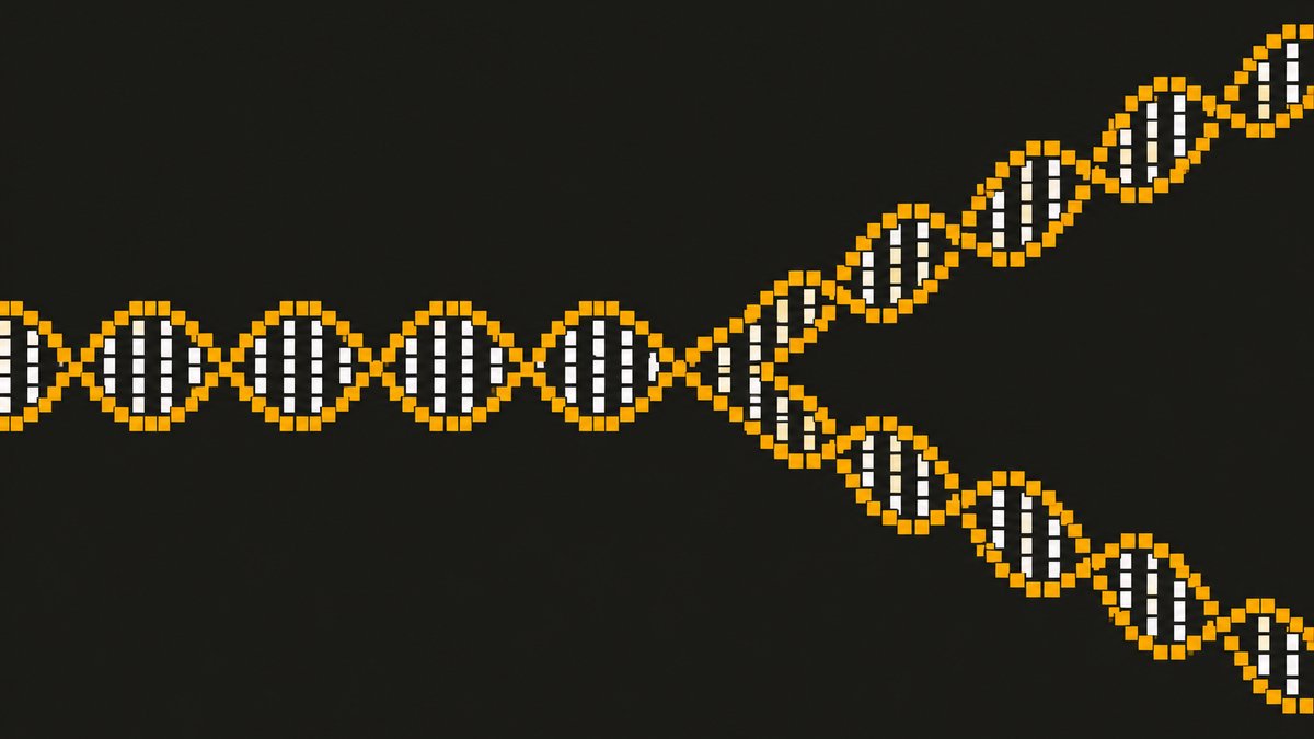 playcart_fun's tweet photo. New on CART: fork any coin's game.

Hit "Remix this game" on any coin, change the game in Octo, and launch your version as a new coin.

Your coin's transaction names the original as its parent, so the family tree lives onchain.