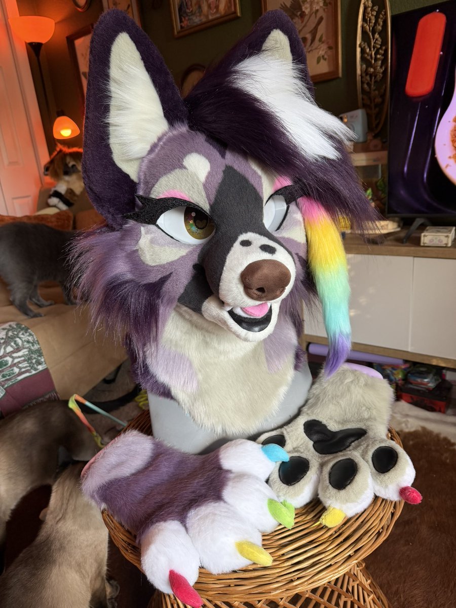 oops_cry's tweet photo. want pretty suits for UNDER 5k…. done in 1-2 months 👩‍❤️‍💋‍👩 all handmade in a one person studio 🐶

opening for custom commissions Oct 31st :3 price range ($2,500-$4,850) https://t.co/zpIMGfef7I