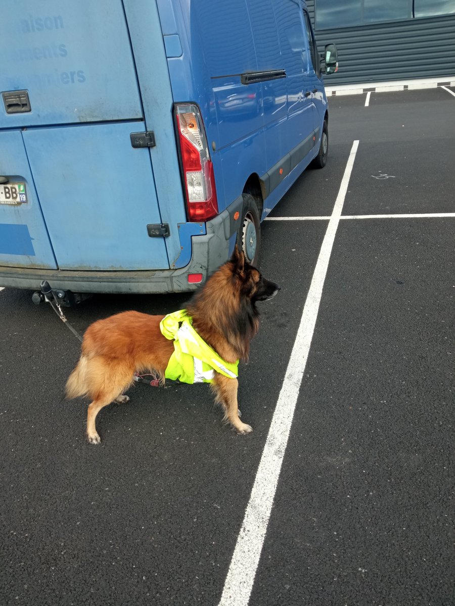 van_wallene's tweet photo. Ofcourse we were on the road too..... unfortunately most yellow jackets were hunters....on est la
Fuck Macron https://t.co/Tx1KgXw3Rd