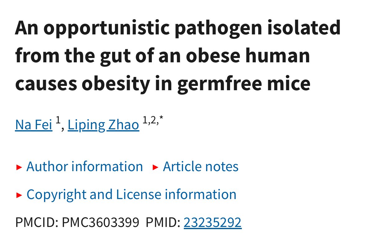 cynomel's tweet photo. they put a fat chinese guy’s gut bacteria into germ free mice and the mice became obese

after putting the same fat chinese guy on a diet designed to reduce pathogenic bacterial overgrowth and endotoxin his weight normalized, hyperglycemia improved, and his BP normalized https://t.co/C5RcnVpuYd
