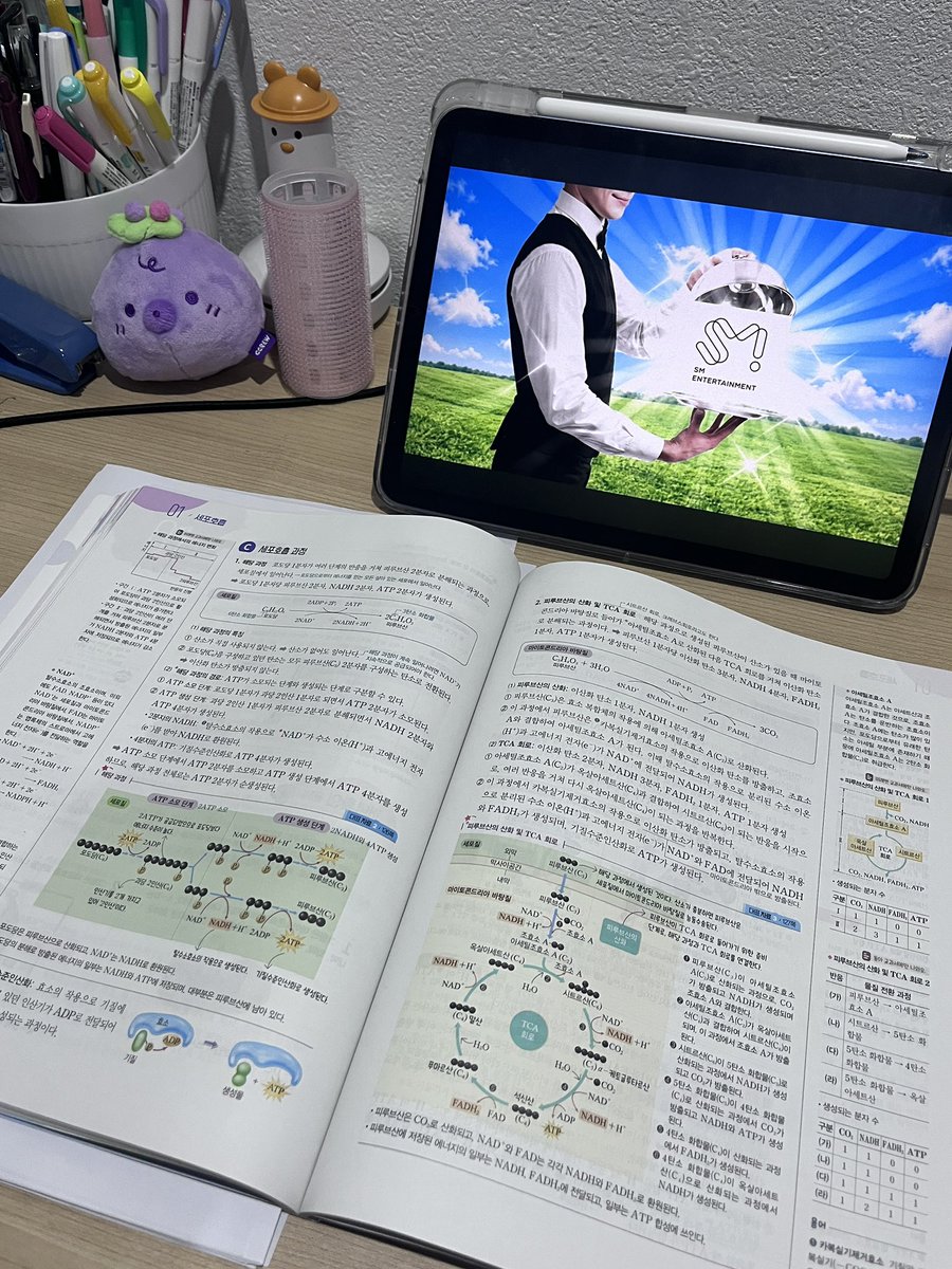 wjny_looz's tweet photo. #studytwt 

20261017
세포와 물질대사 왜케 어렵지,, https://t.co/vHdLlIICy3