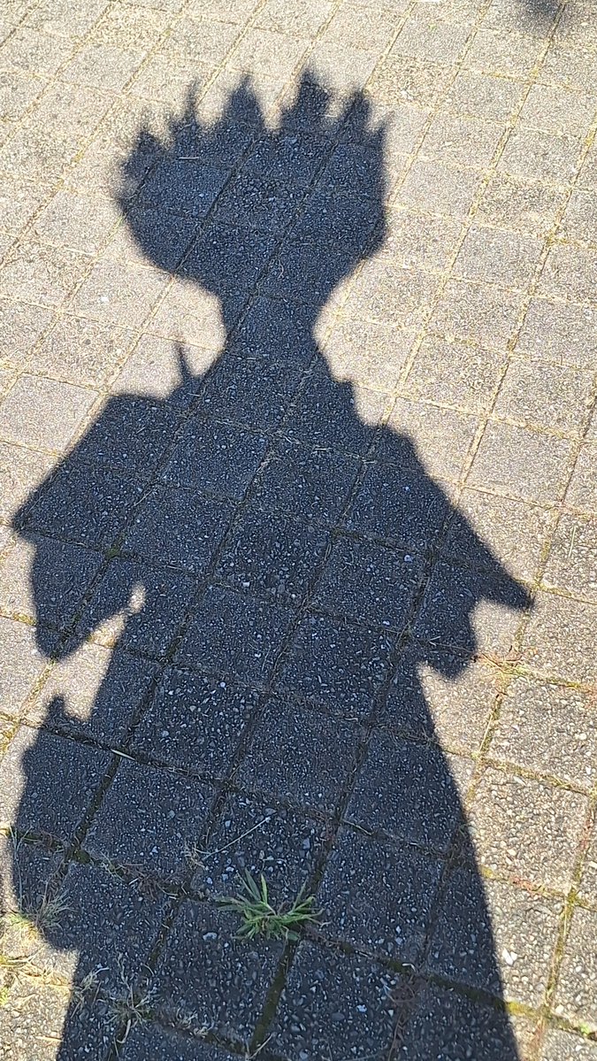 hinoHiNO_373's tweet photo. いてました‼️
最高素敵メンツとdcst併せでした🙌✨
100億万点の楽しさだった🥳🥳🥳
#マチアソビ https://t.co/m6j9T5ztBT