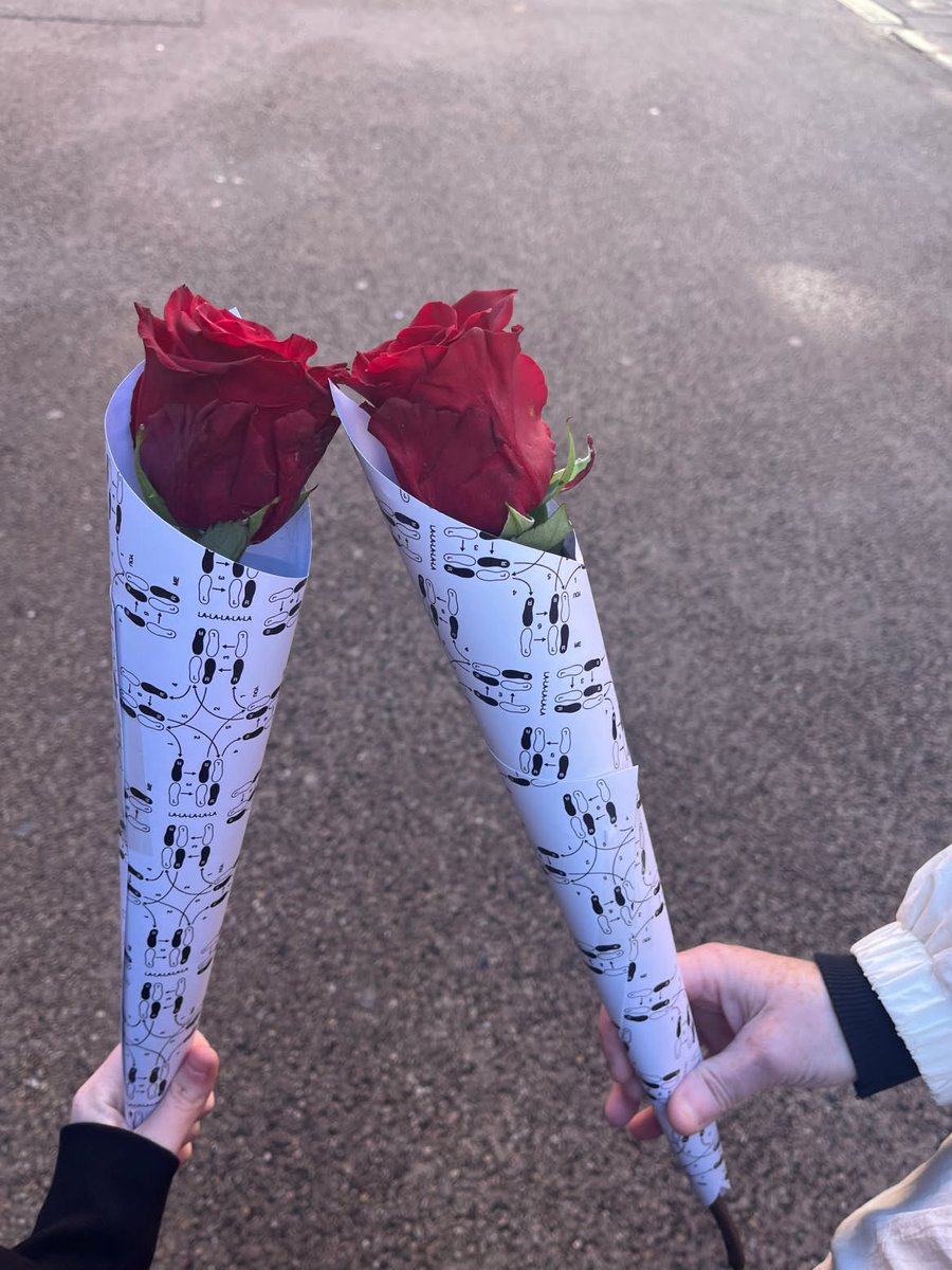 hsdaily's tweet photo. Free fresh pairs of roses have also been spotted at Powerscourt Townhouse in Dublin today - 17 October (via x_nicole.kirwan_x) https://t.co/aDo2DGYO1n