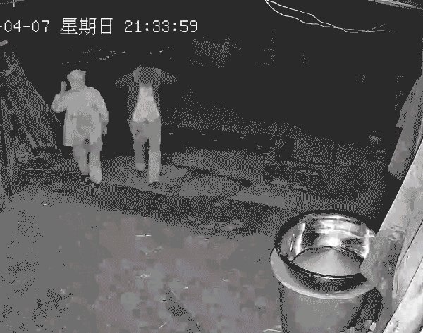 CarlosY50446706's tweet photo. This courtyard's security system caught the thief red-handed!， https://t.co/a13dp107lH