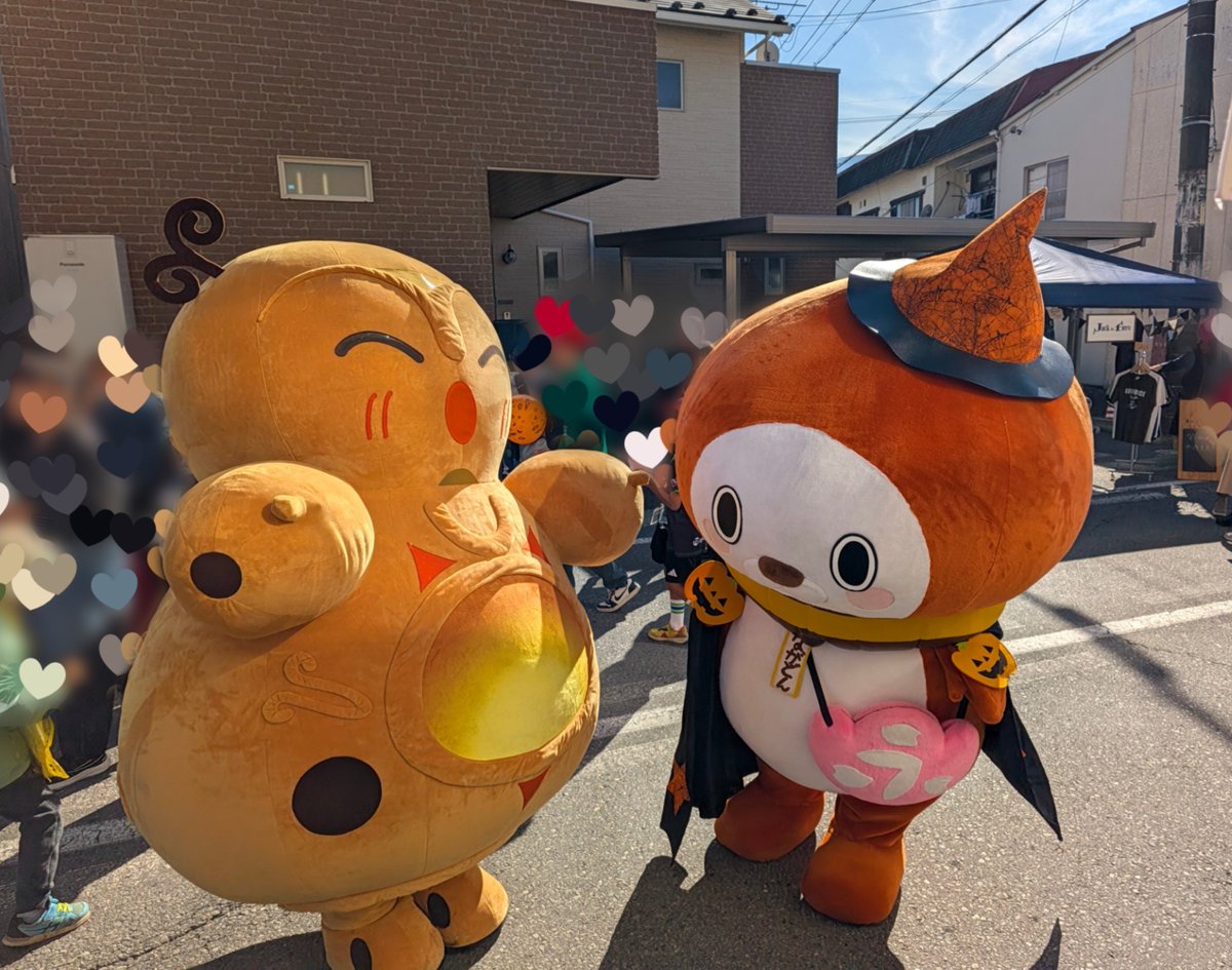 hesperides_61's tweet photo. はじめましての商店街でもたくさんのおともだちに撫でられていた永どん🌰
フゥーちゃんにもツンってされてた…？
(＊´∀`)σ)д`*)ﾂﾝﾂﾝ https://t.co/LuF63tZ53i