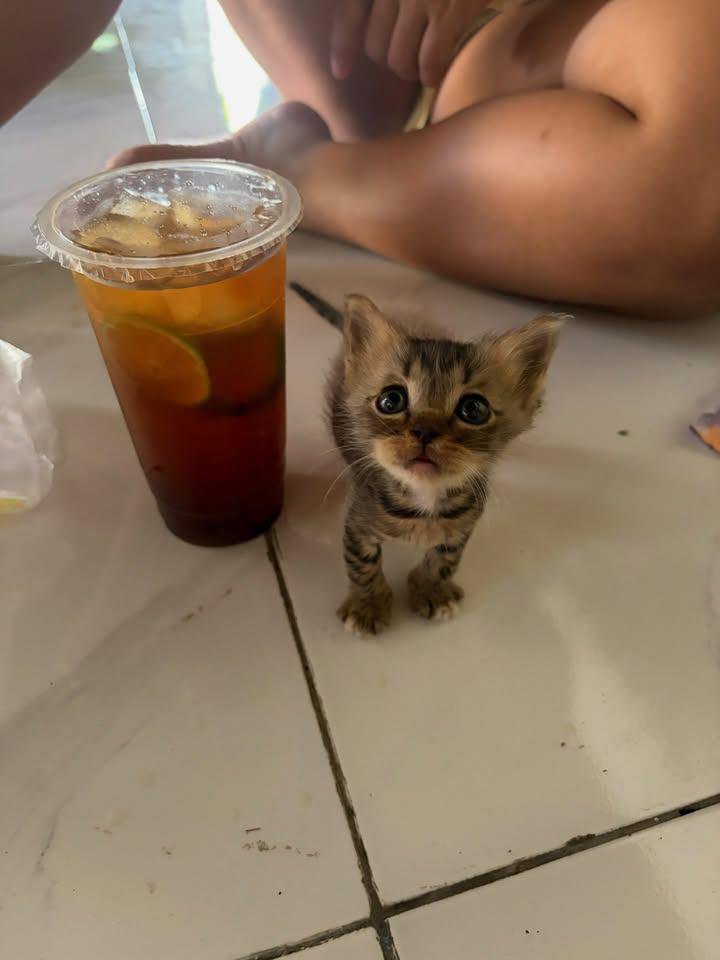 uoheart's tweet photo. saking imutnya ni cuking, orang-orang ngiranya AI. disandingin sama es teh jumbo, tinggian es tehnya 🤏🏻😭 https://t.co/Ay8H9vmzhe
