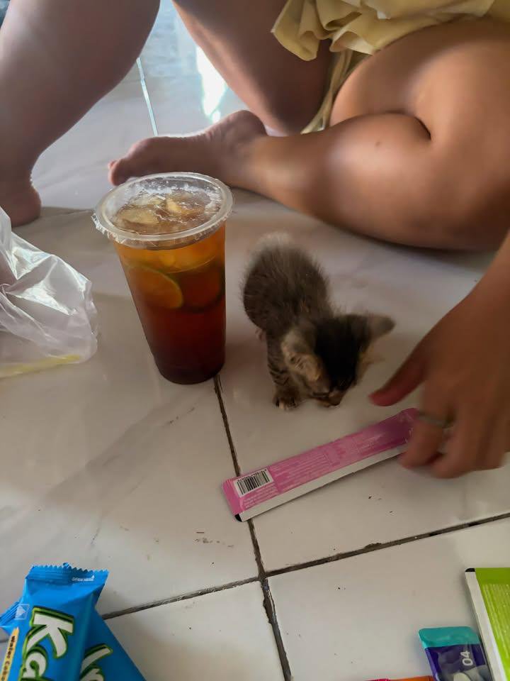 uoheart's tweet photo. saking imutnya ni cuking, orang-orang ngiranya AI. disandingin sama es teh jumbo, tinggian es tehnya 🤏🏻😭 https://t.co/Ay8H9vmzhe