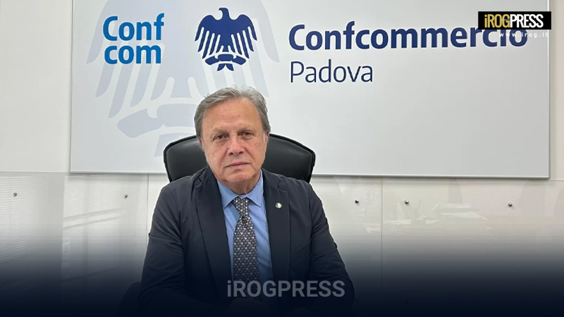 iROGPRESS's tweet photo. NATALE A RISCHIO PER I NEGOZI DI PADOVA, BERTIN (CONFCOMMERCIO): «SERVONO CERTEZZE SUI CANTIERI DEL TRAM»
https://t.co/NSsaalT6jw

@comunepadova @Confcommercio @AscomPadova #Padova #Confcommercio #Cantieri #Tram #Commercio #NegoziPadova #Natale #BlackFriday #Voltabarozzo #cronaca https://t.co/HYok2aWPE6