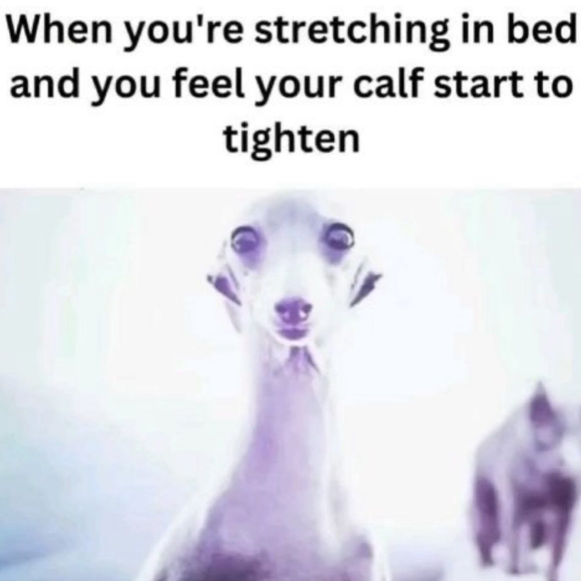 nocontextmemes's tweet photo. https://t.co/4CaNIIz1Lp