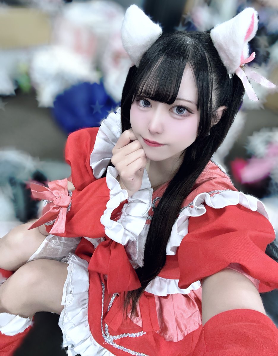 LLkl_Alice's tweet photo. ご主人様は君に決めたっ❕🐱 https://t.co/oKUtBNmIvK