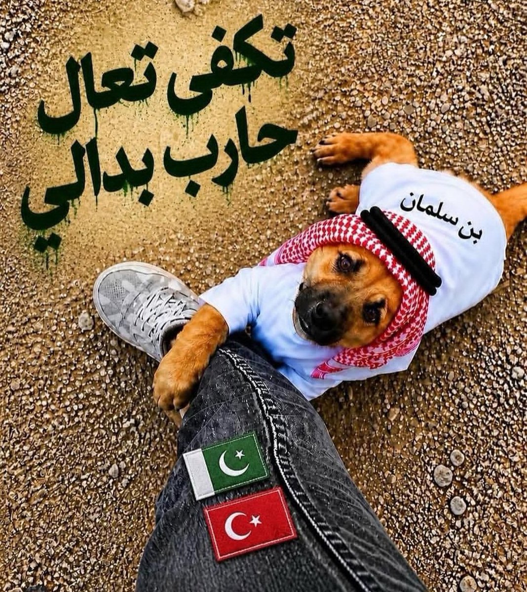 JohnnyJohn3040's tweet photo. @Turki_alalshikh https://t.co/UHQjRfscsK